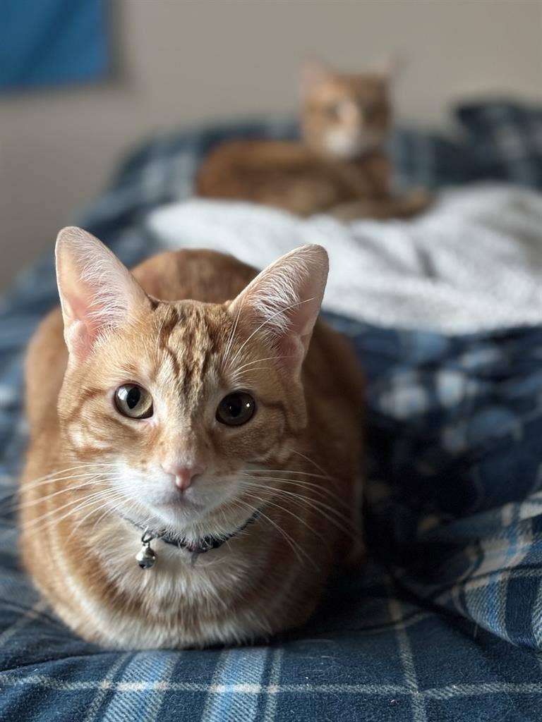 Easy going! Looking for a friendly!