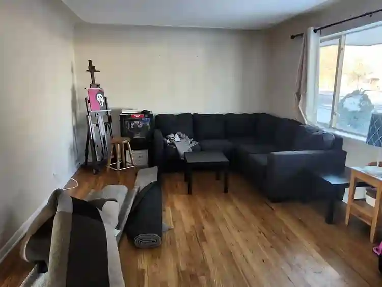 ✨️Roommate Needed✨️