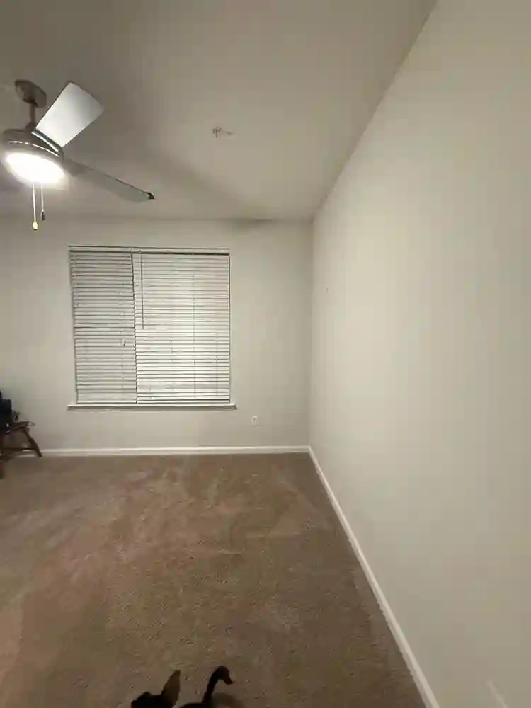 Female Roomate Wanted