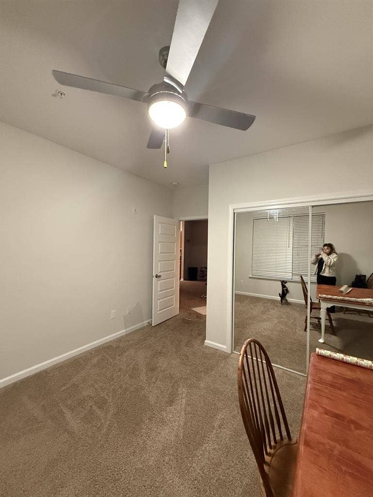 Female Roomate Wanted