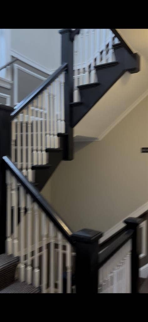 Evanston beautiful 2 bed/bath