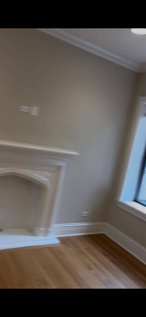 Evanston beautiful 2 bed/bath