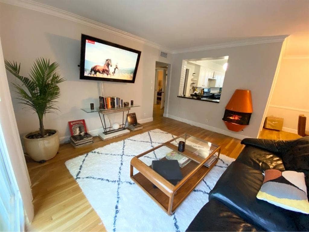 Mid century apartment