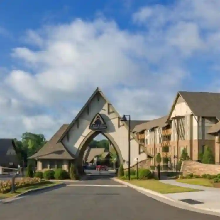 Lease Takeover till Summer