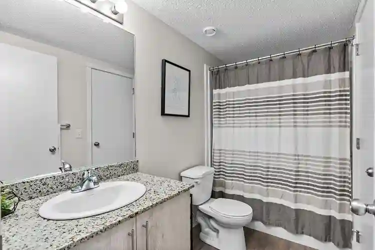 New apartment, Shared living space.