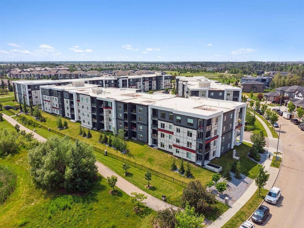 New apartment, Shared living space.