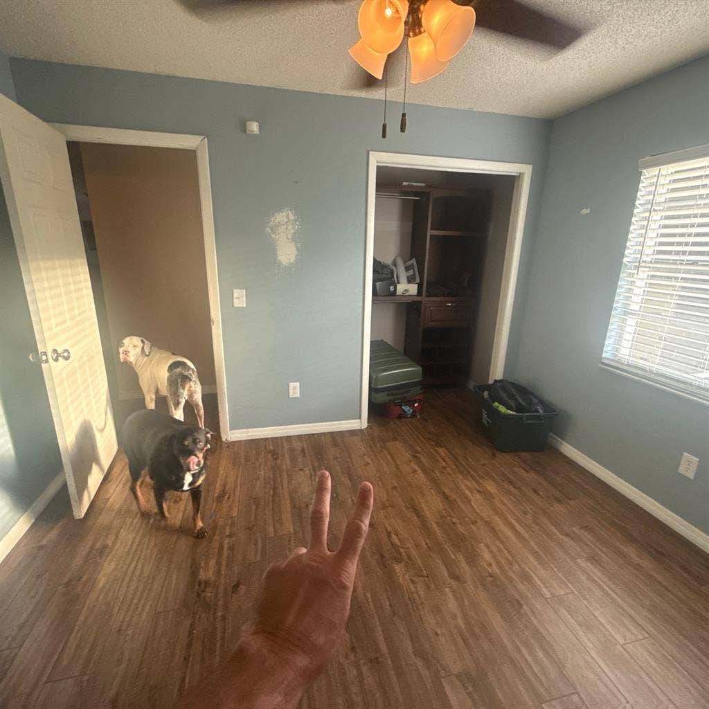 Clean, safe, quiet, professonal