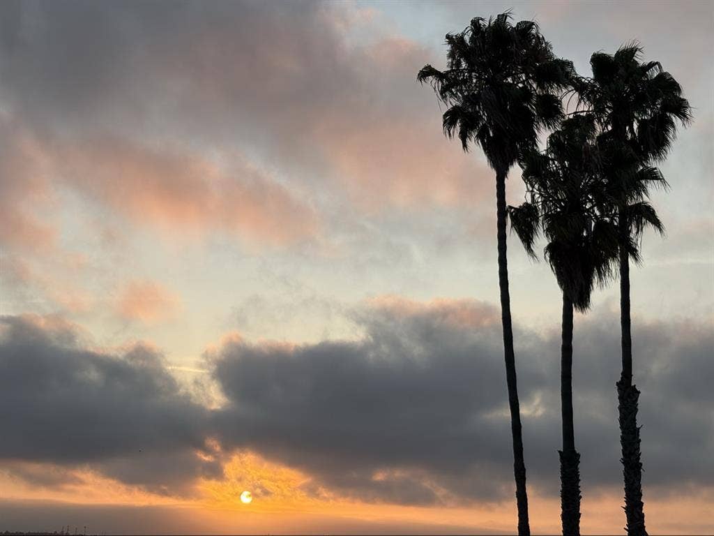 Room for rent, Wall mount Tv, Bath