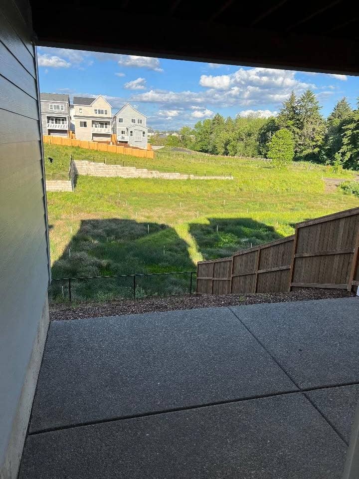 Looking for nice and neat roommate