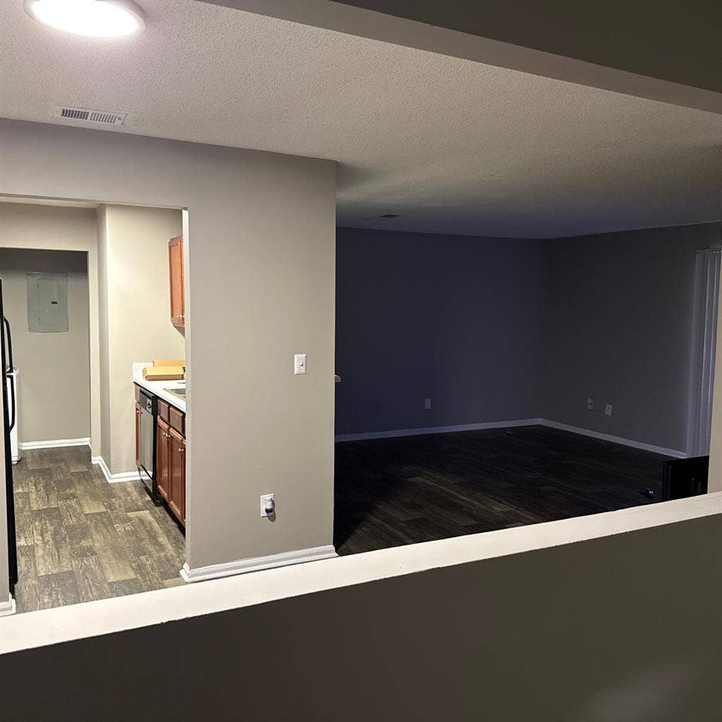 Looking for a roommate