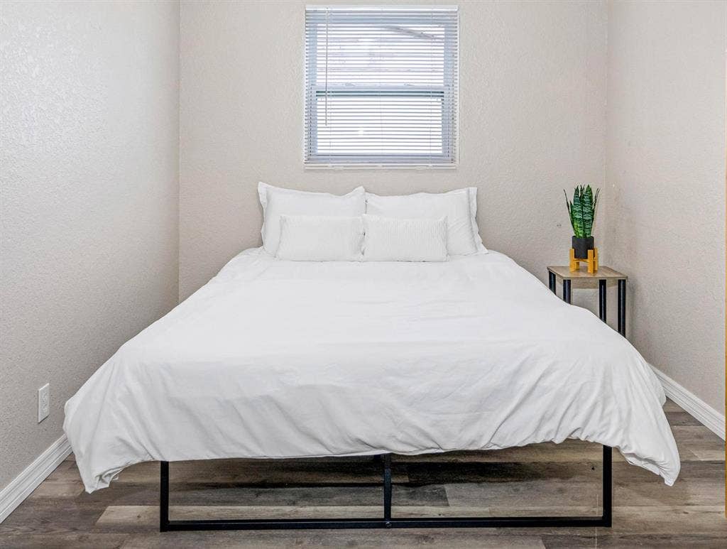 7 BR in Tampa