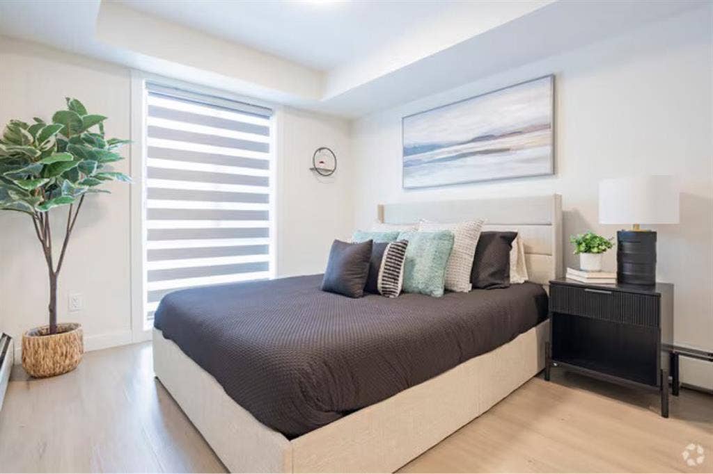 Luxury private room for rent