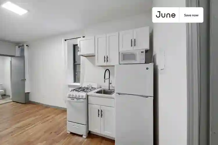 1 BR in New York City