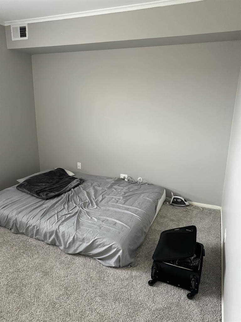 Looking for roommate in B appt