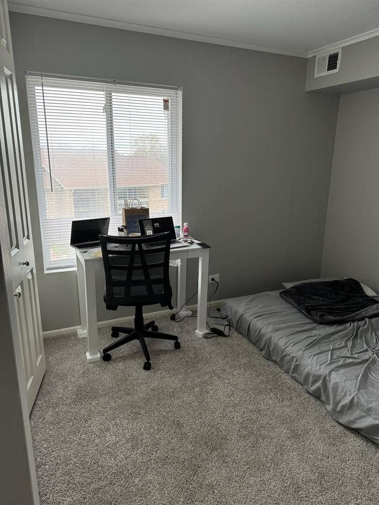 Looking for roommate in B appt