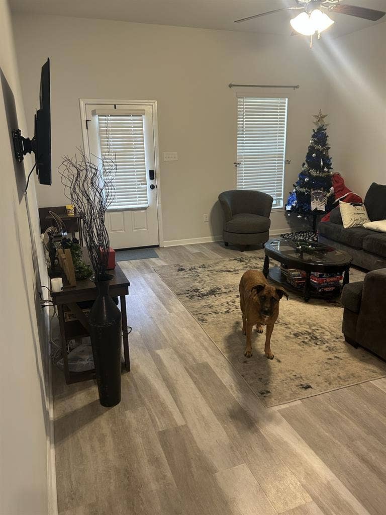 Looking for a roommate