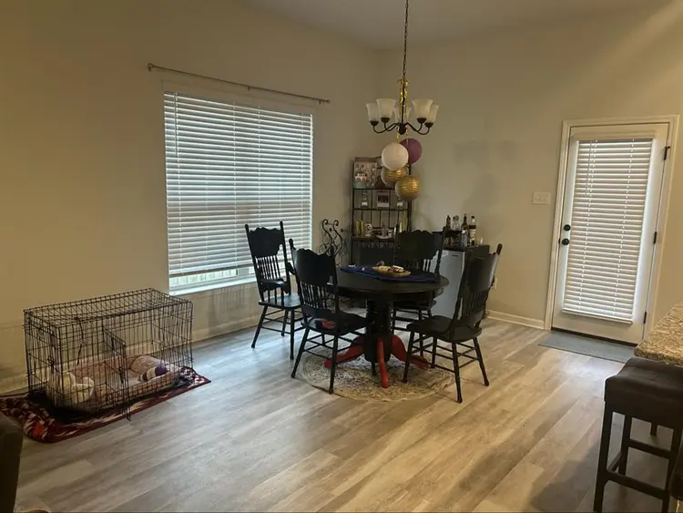 Looking for a roommate