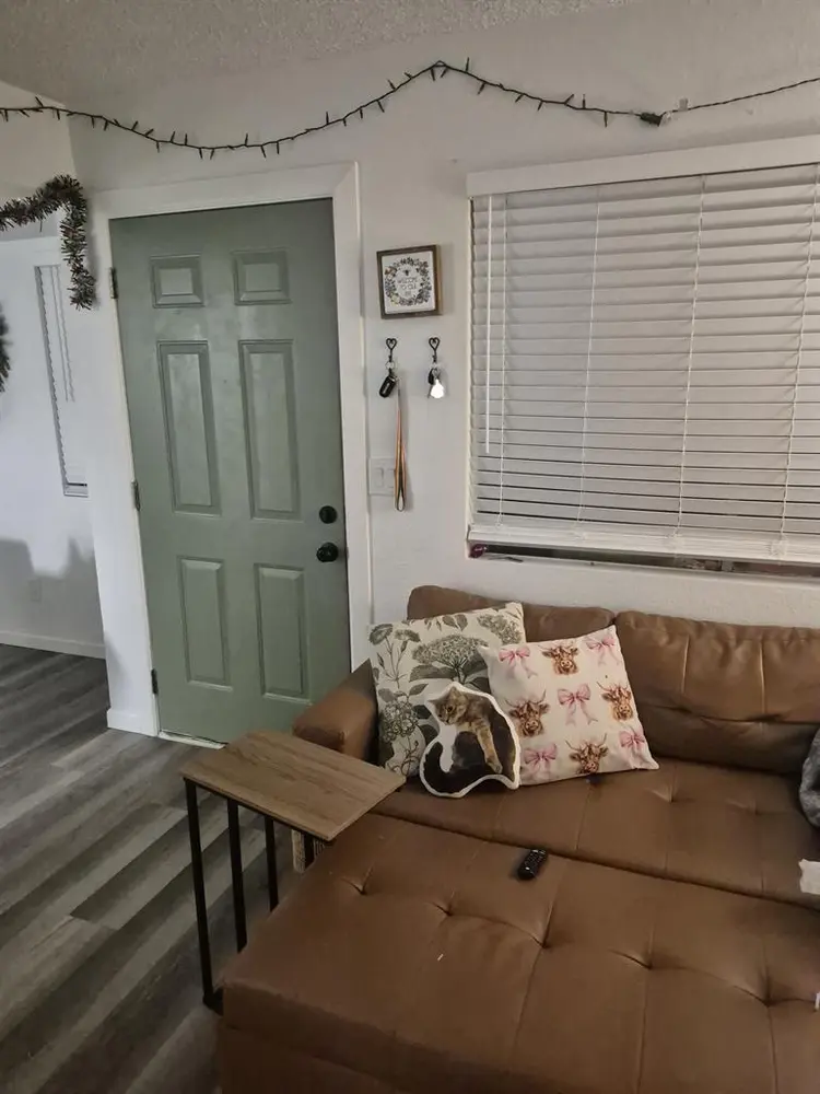 Roommate Needed Starting in May