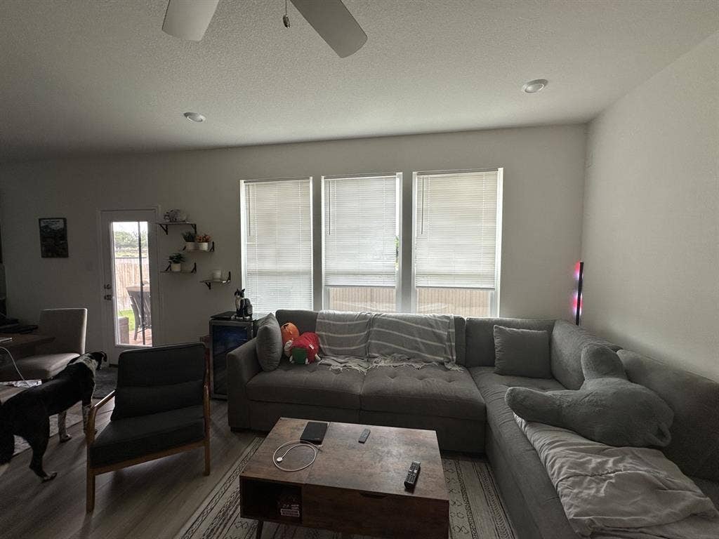 Looking for another roommate
