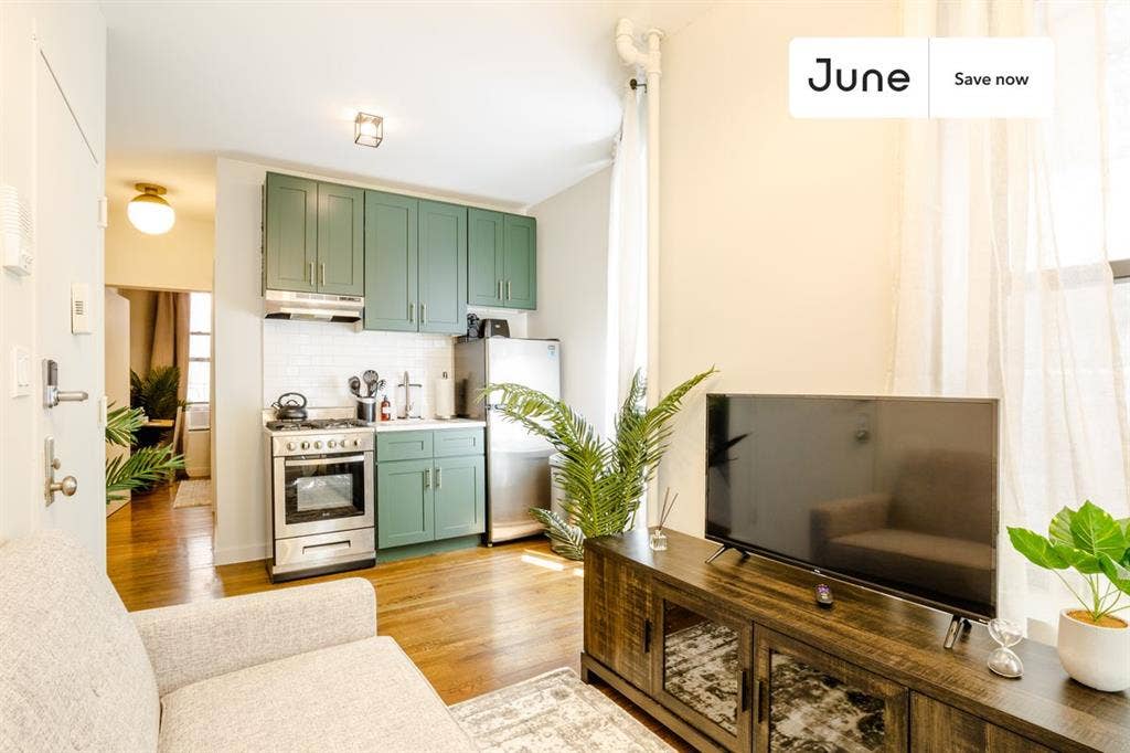 1 BR in New York City