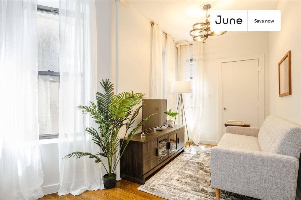 1 BR in New York City