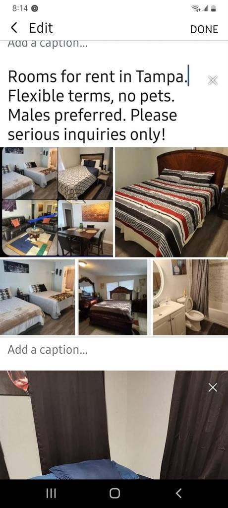 TAMPA Rooms 4 Rent