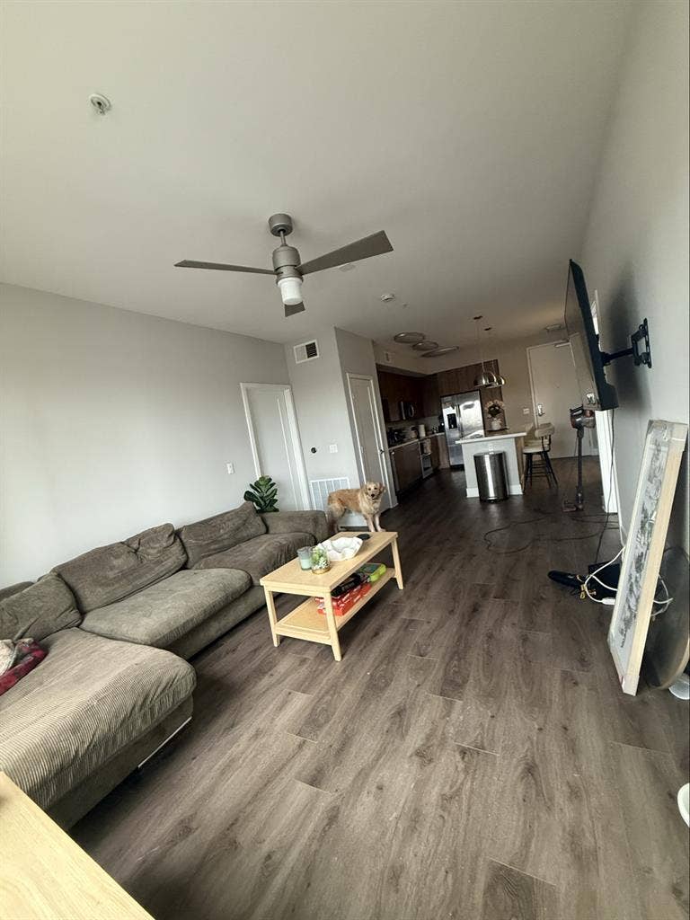 Room and private bathroom for rent