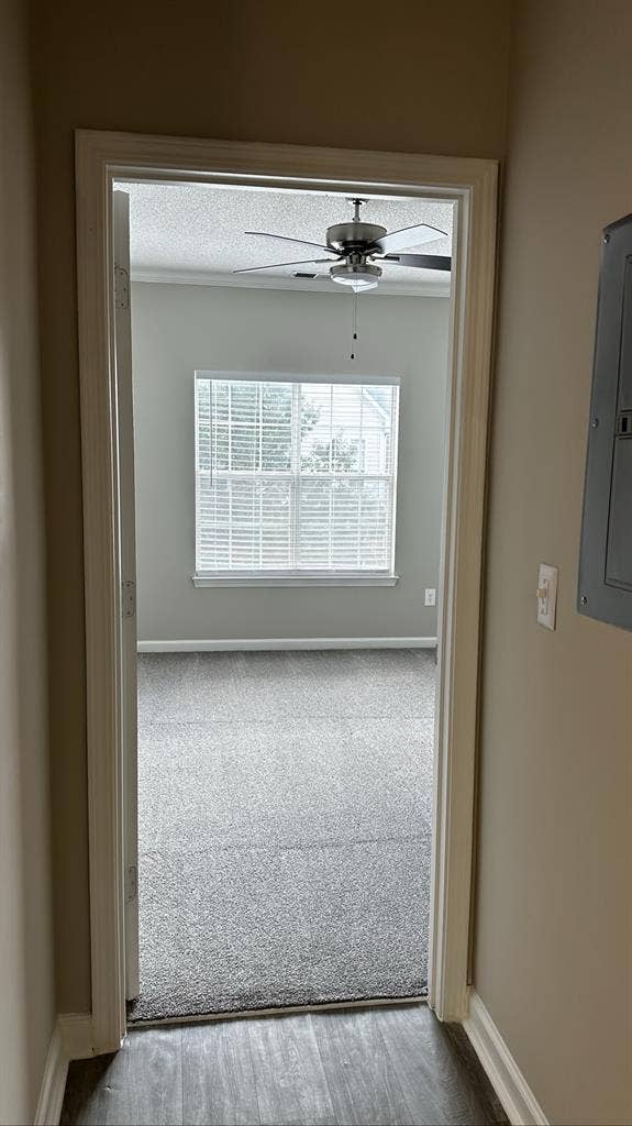 Roomie Needed for Lease Takeover