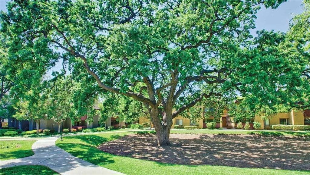 Need a roommate for 2b 1b apt Simi