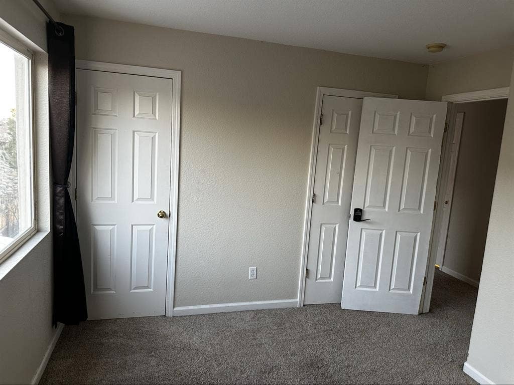 Clean & Professional