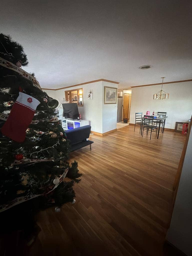 3 bedroom apartment for rent