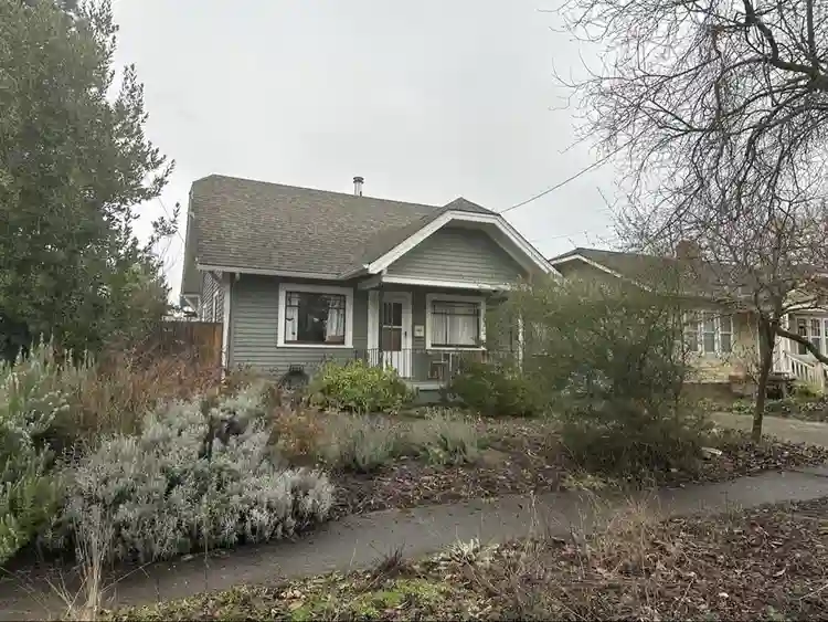 Queer and Covid conscious house