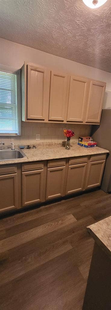 5 BR in College Park