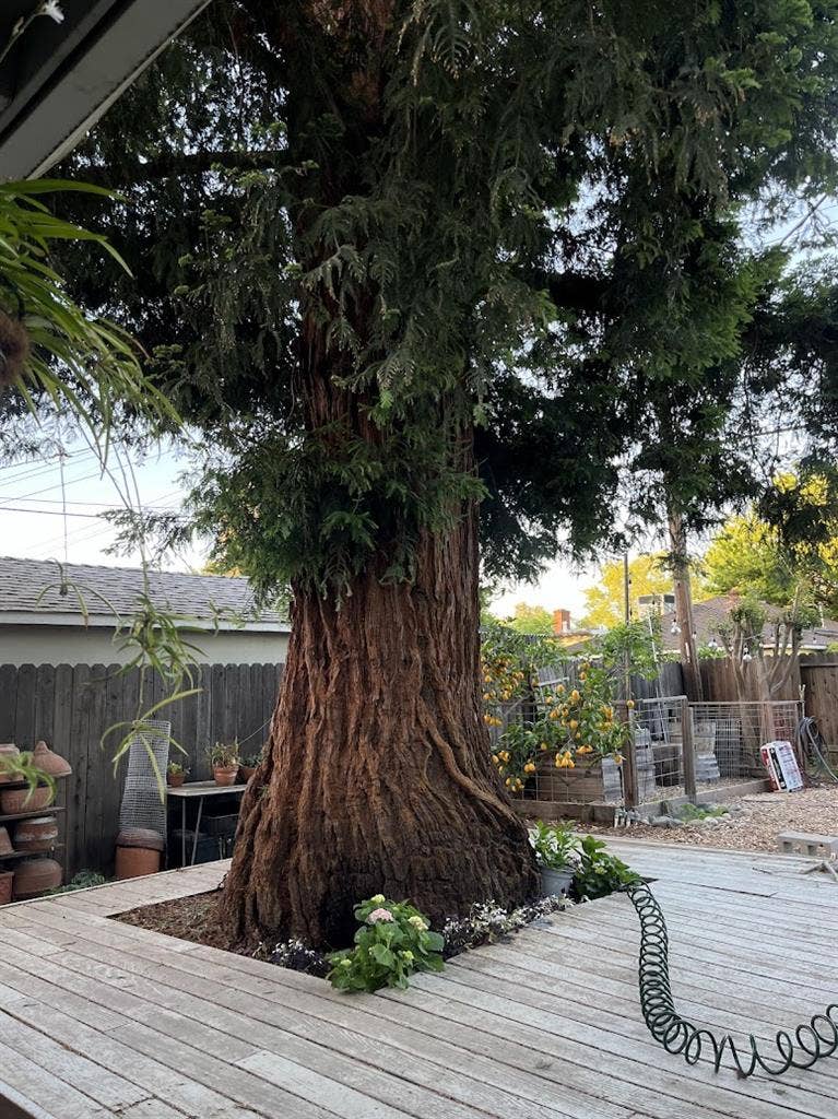 Room in  bath available Feb 1