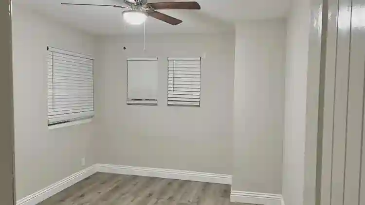 cat lovers in search for a roommate