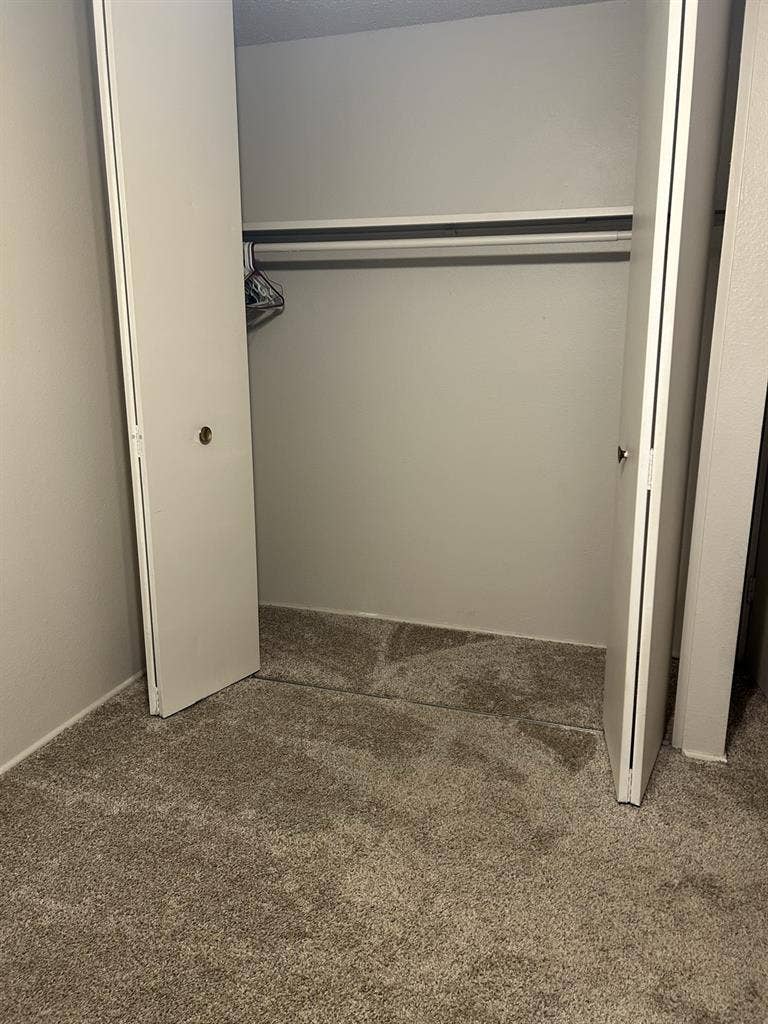 Roommate wanted