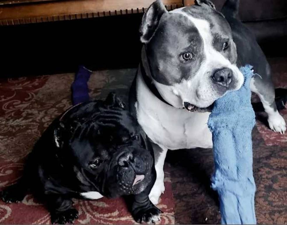 Looking for a roommate