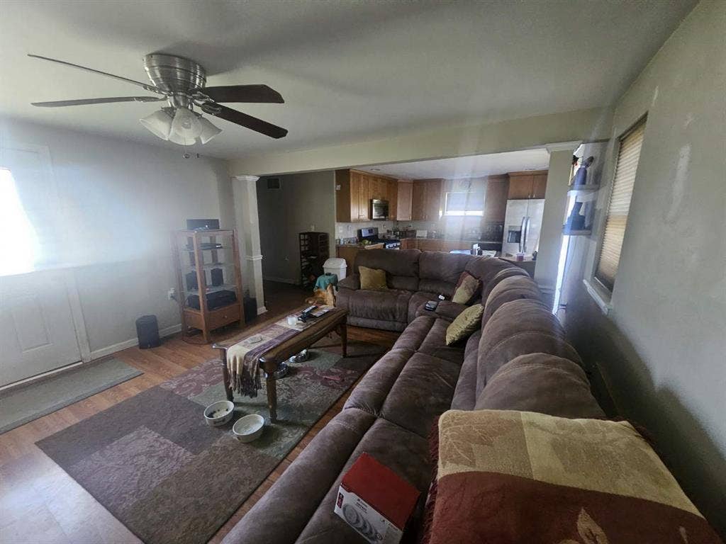 Looking for a roommate