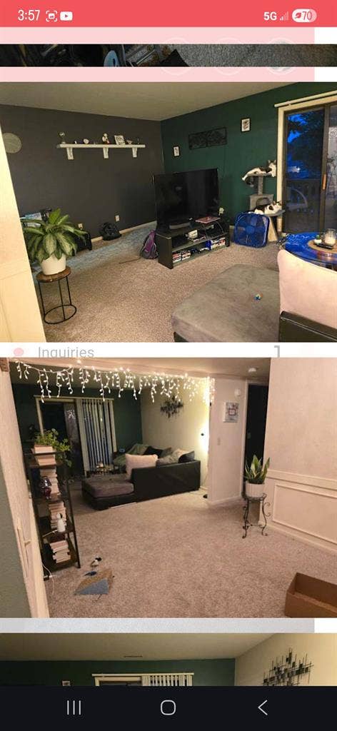 Looking for a female roommate!