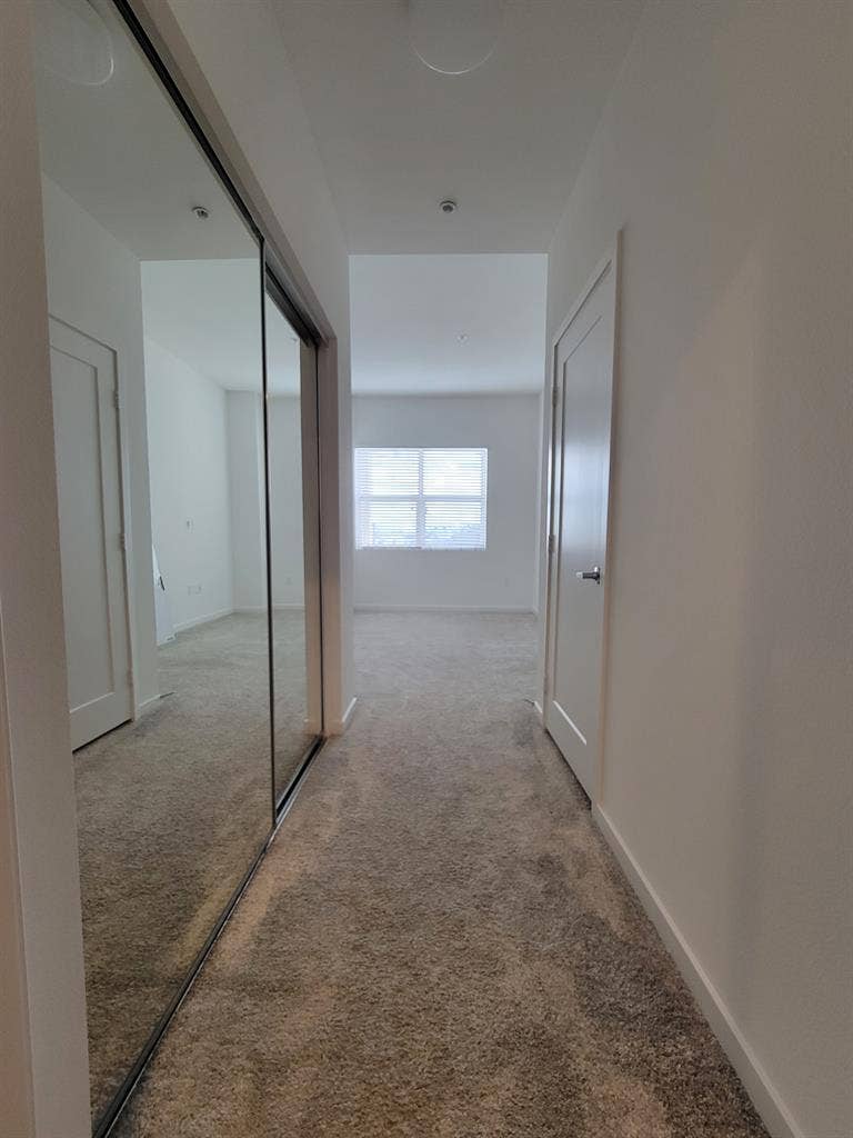 Looking for roommate!