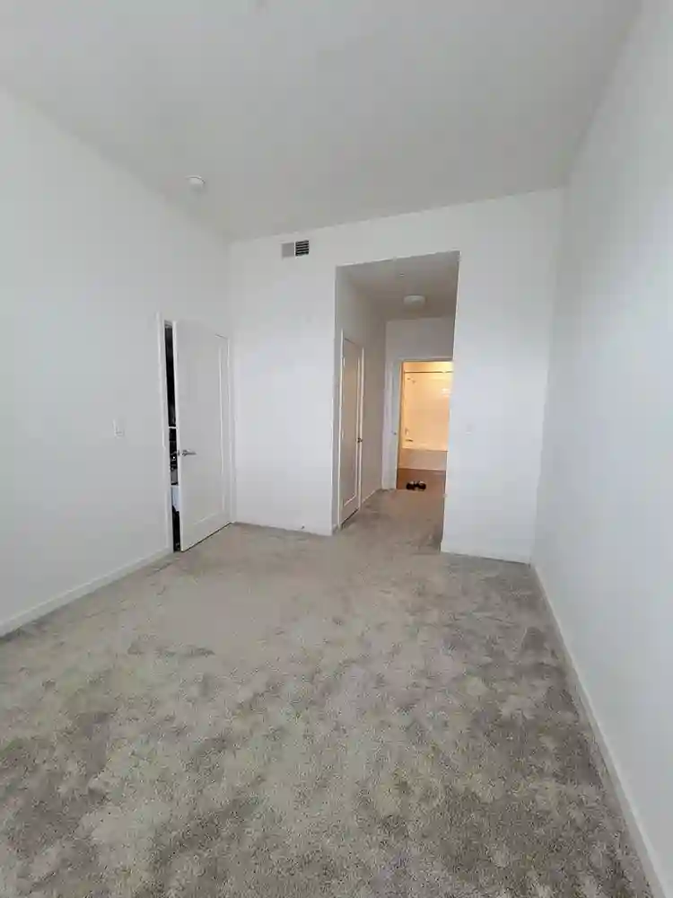 Looking for roommate!