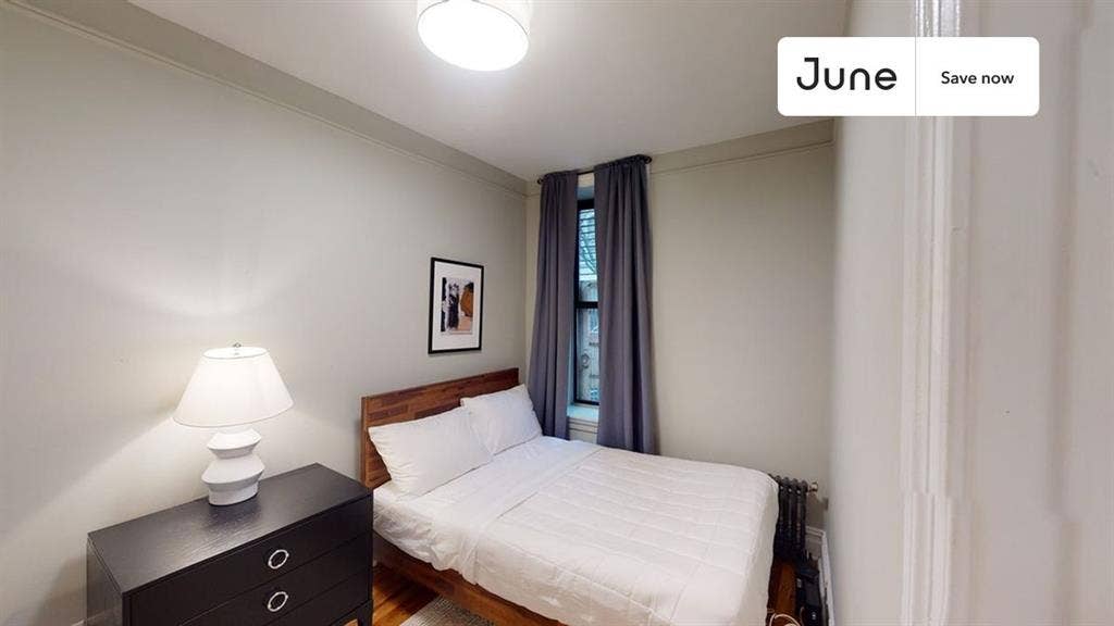 1 BR in New York City