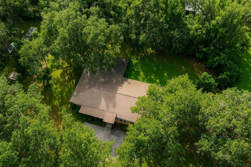 10 BR in Seffner