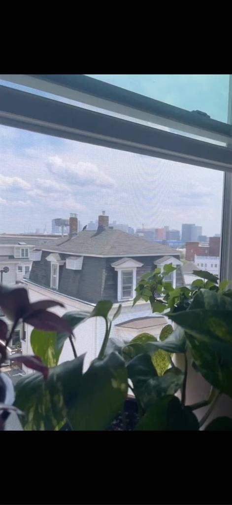 Looking for roommate!!