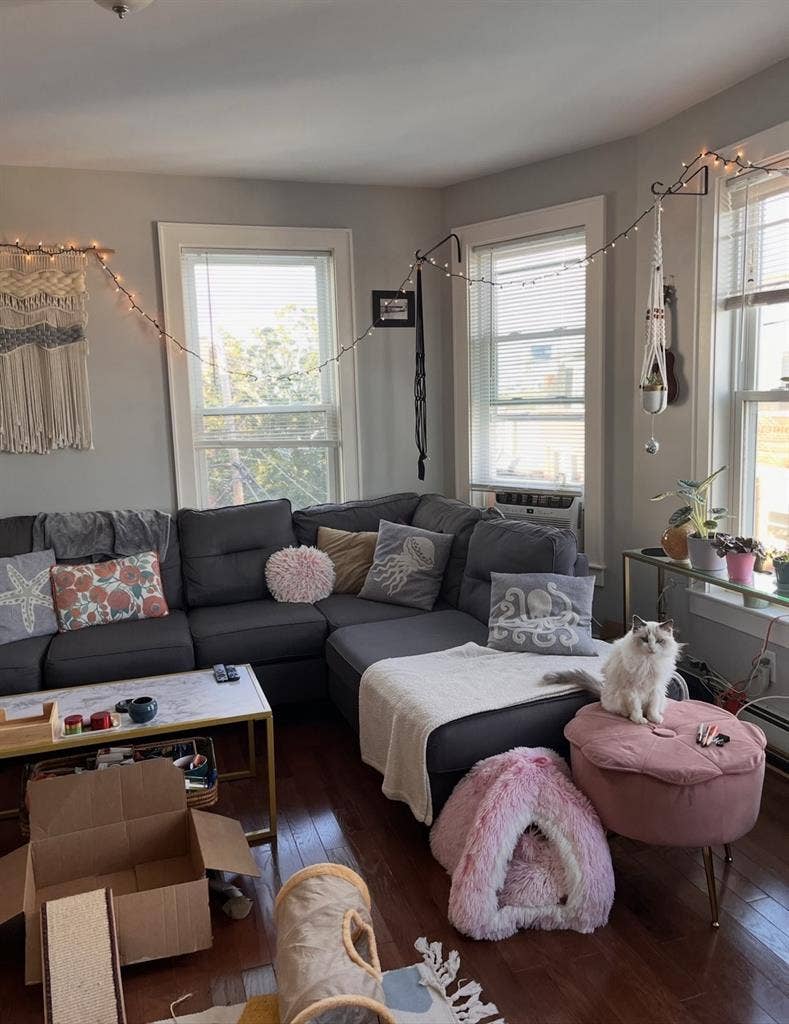 Looking for roommate!!