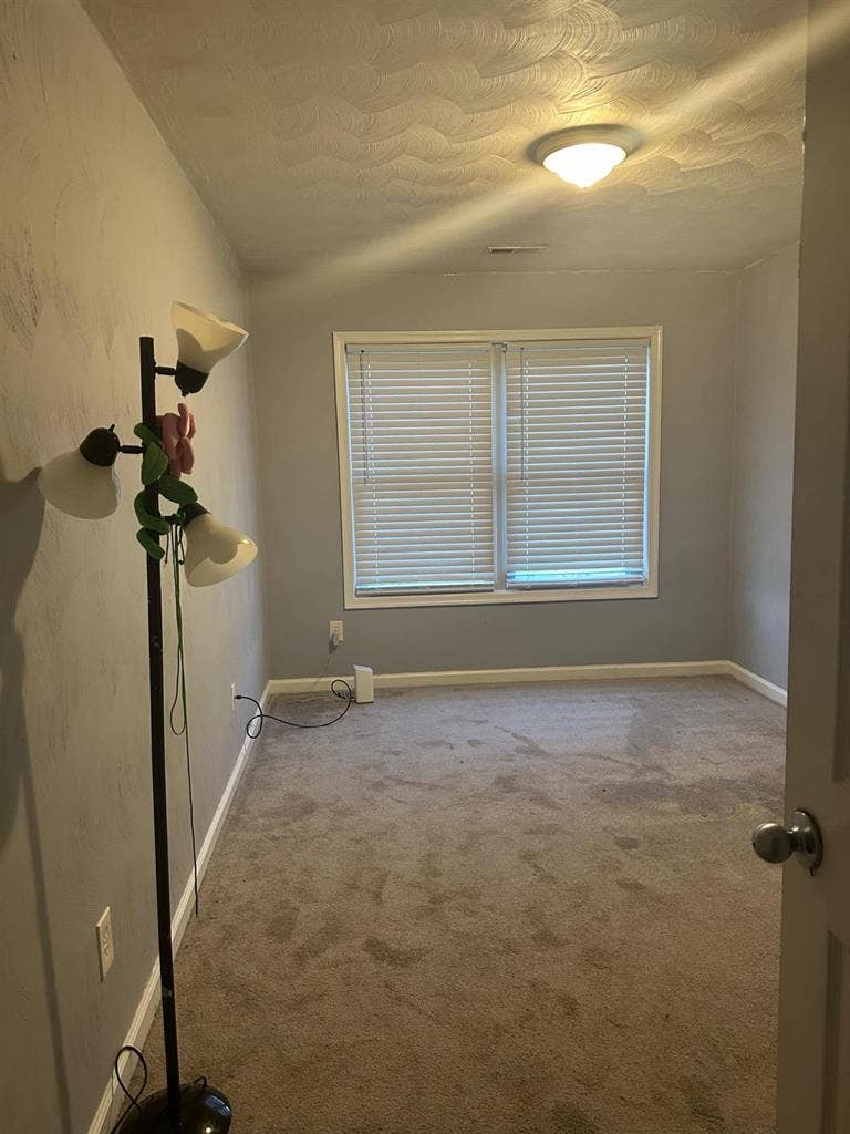 Looking for roommate