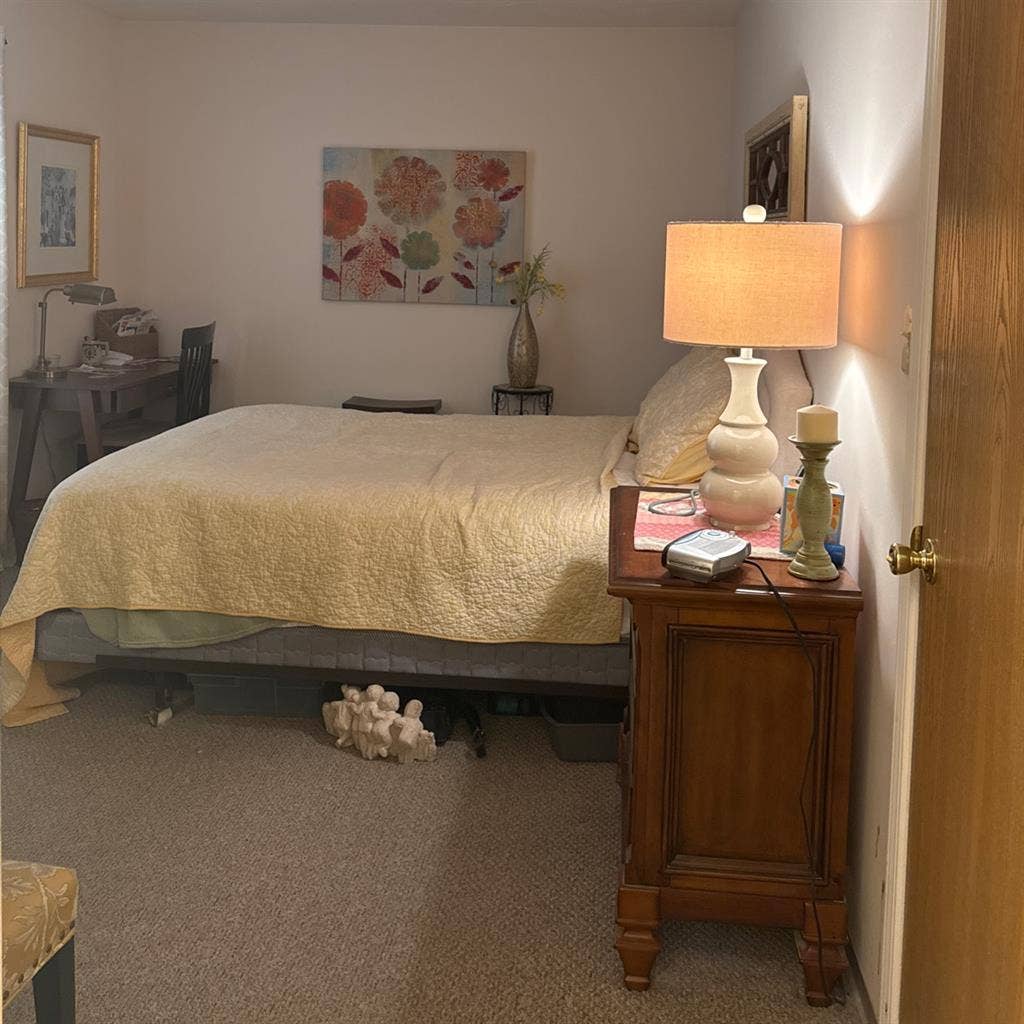 Looking for a good roommate