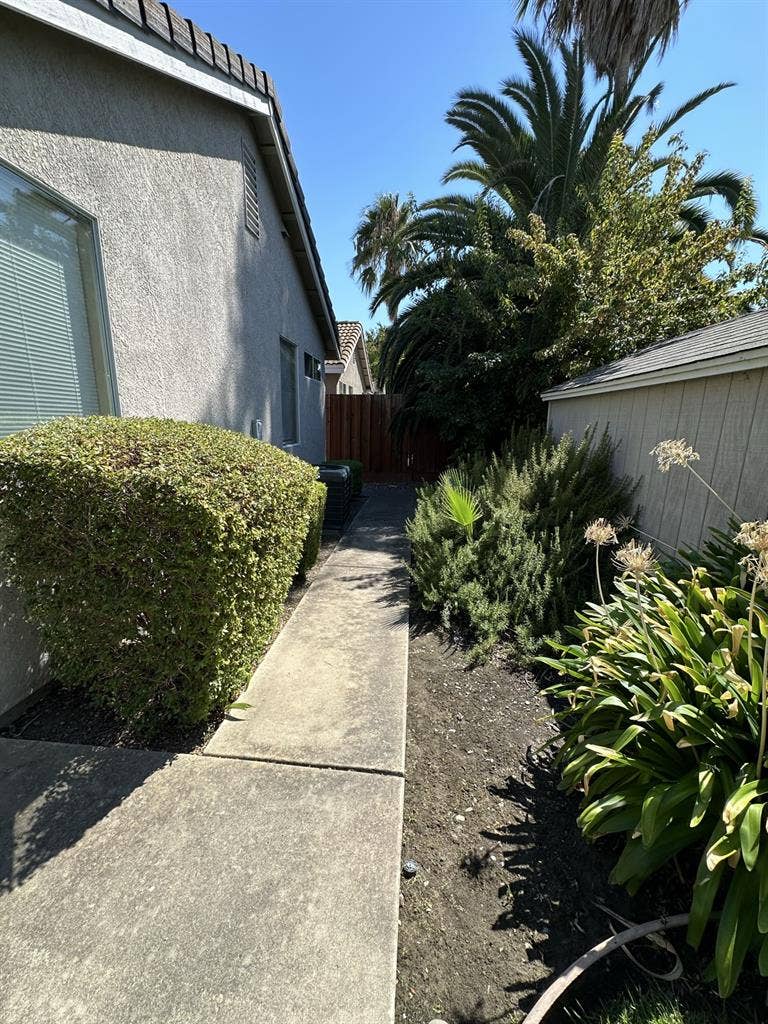 Room or house available in Natomas