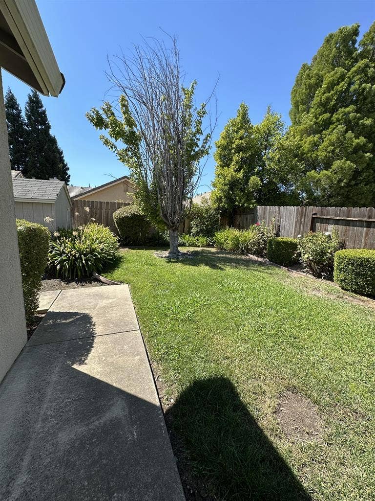 Room or house available in Natomas