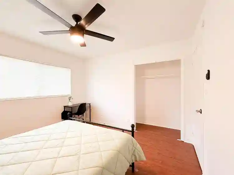 7 BR in Tampa